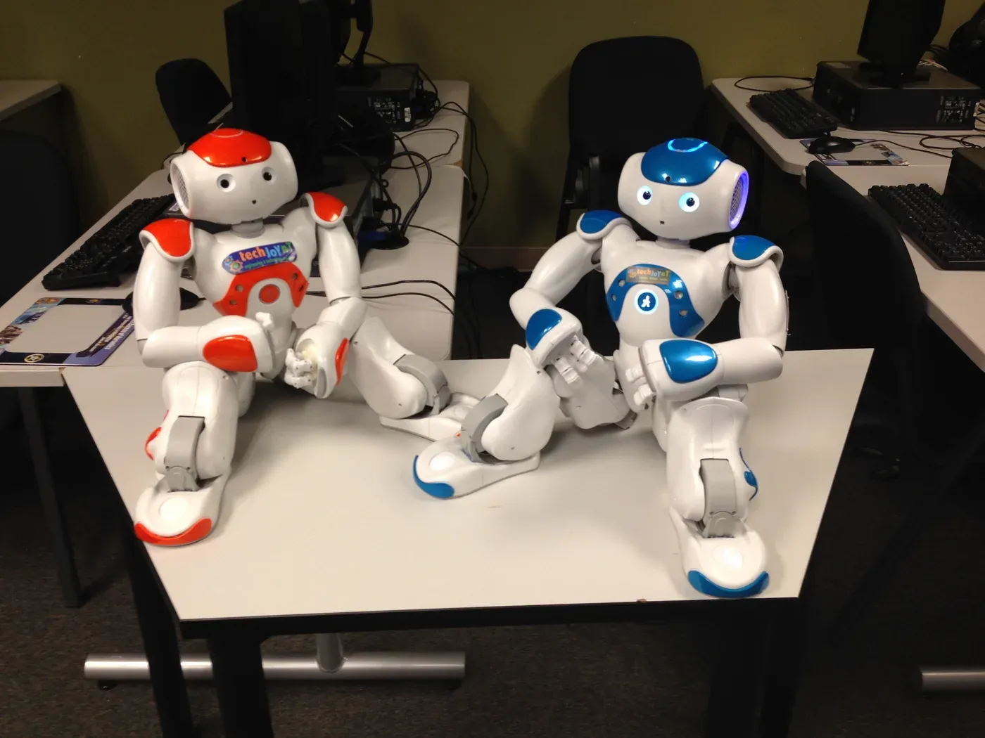 Two humanoid robots used in the STEM curriculum